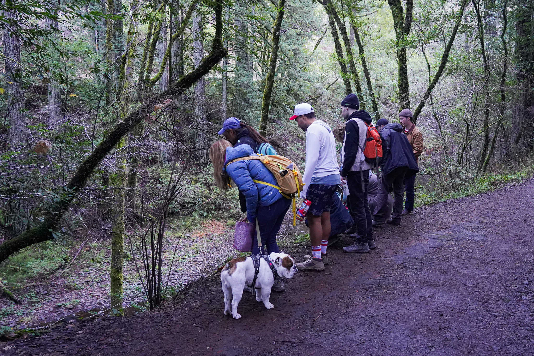 Salmon on the Rebound Weekend Sherpa